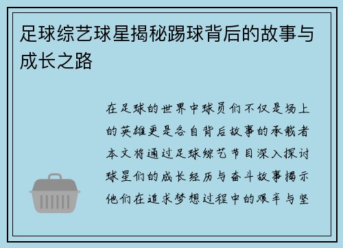 足球综艺球星揭秘踢球背后的故事与成长之路