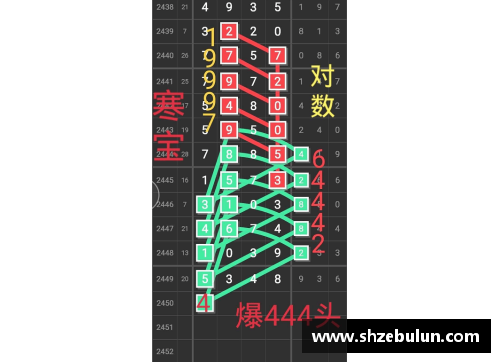 bibo必博官方网站足球明星的年龄规律探究与职业生涯发展影响分析 - 副本