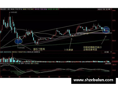 bibo必博官方网站巴菲特清仓一季度创新高的富国银行，稳拿美国银行新增花旗 - 副本