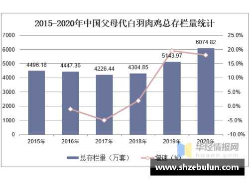 bibo必博官方网站苏州启明星篮球队发展现状分析及未来潜力展望 - 副本